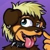 Jayvenpup