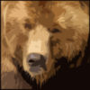 Bearpaw